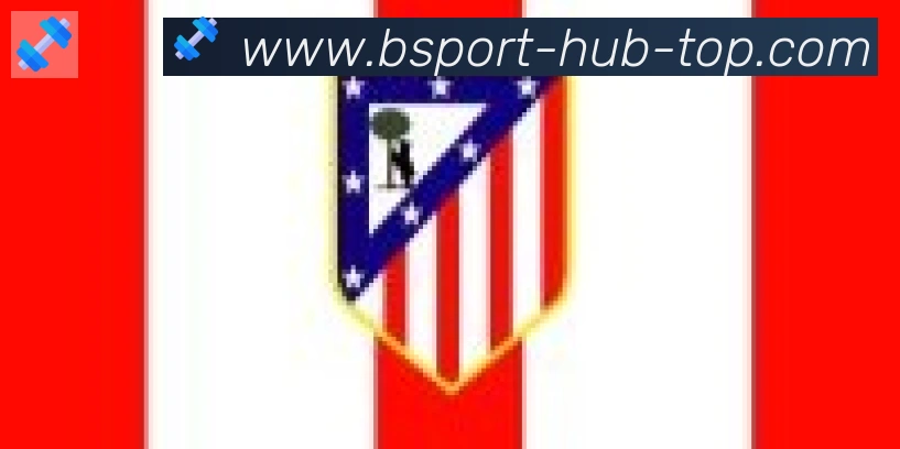 Bsports官网合作伙伴